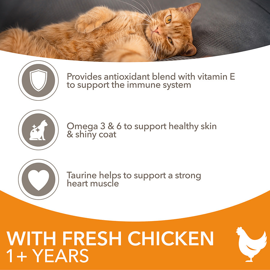 IAMS Adult Dry Cat Food Chicken 10kg