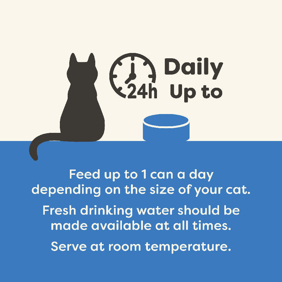 Applaws Natural Wet Adult Cat Food Fish Selection in Broth 12x156g Tins