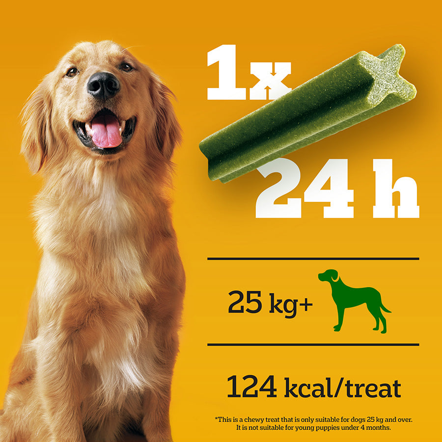 Pedigree Dentastix Fresh Daily Large Dog Dental Treats - ( 21 stk x 4 )