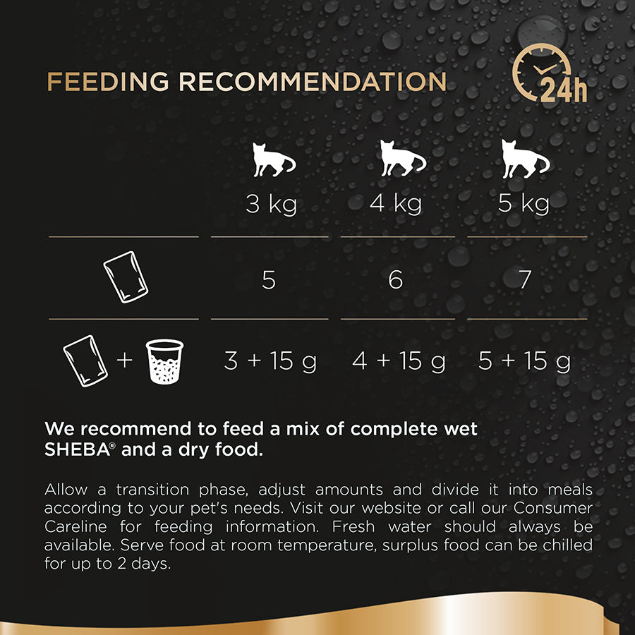 Sheba Fresh & Fine Wet Cat Food Pouches Tuna & Salmon in Jelly (6x50g) x 8 Pack