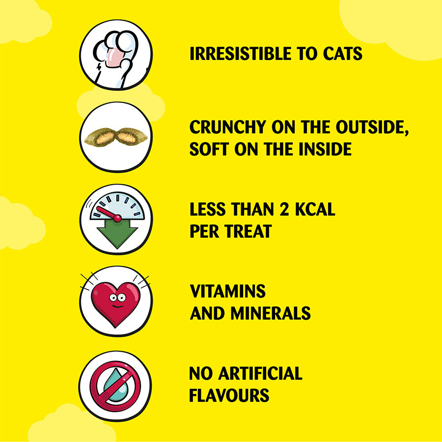 Dreamies Cat Treats with Catnip (200g x 6)