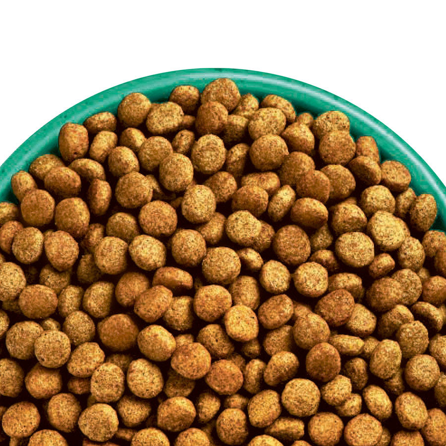 James Wellbeloved Puppy Dry Dog Food Chicken & Rice - 15kg