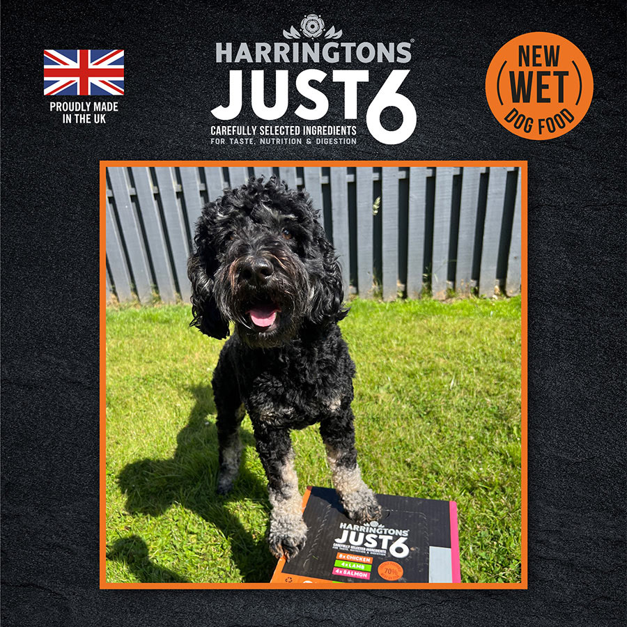 Harringtons Just 6 Chicken ( 380g x 8 )
