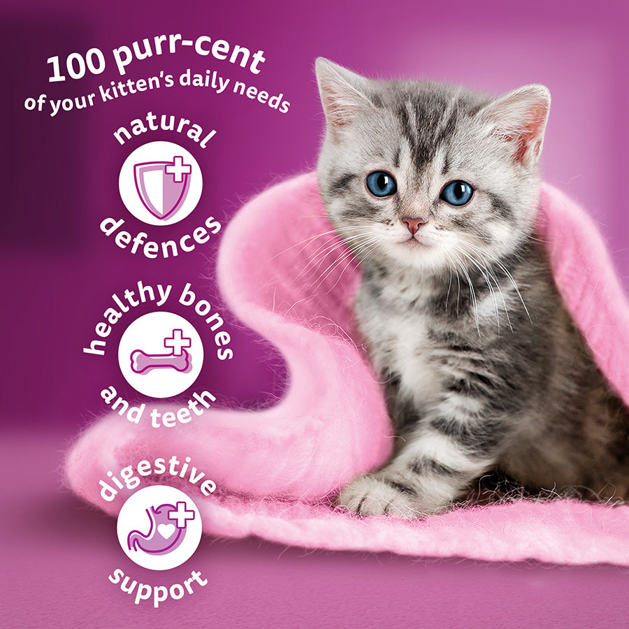 Whiskas Kitten Dry Cat Food Chicken (1.9kg × 4)