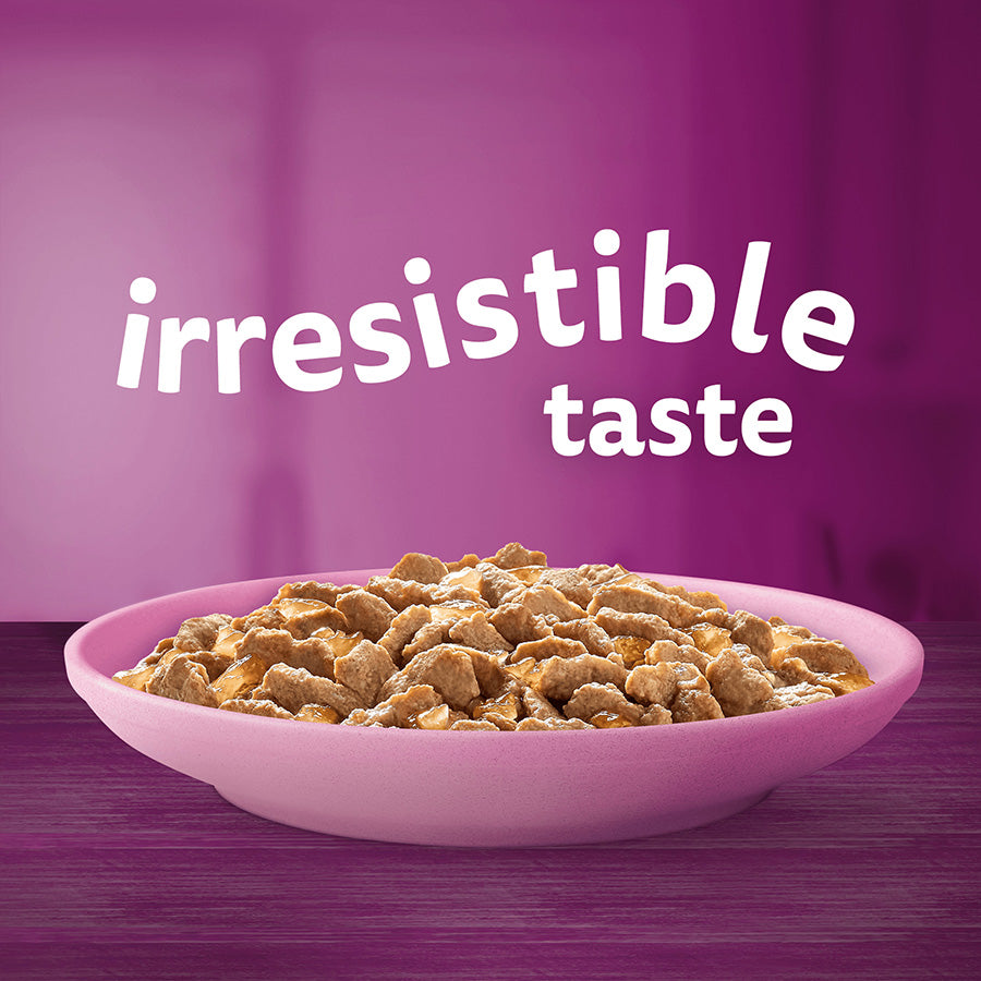 Whiskas Kitten Poultry Feasts Wet Cat Food Pouches in Jelly - (12 × 4 = 48 pack)