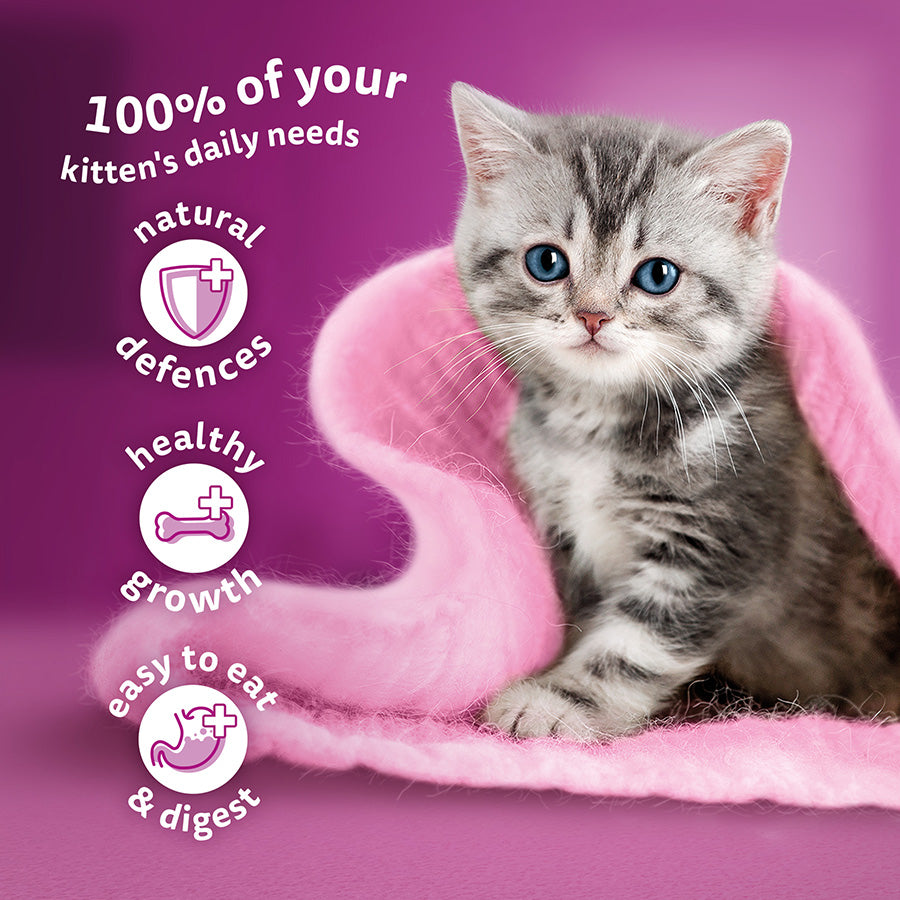 Whiskas Kitten Poultry Feasts Wet Cat Food Pouches in Jelly - (12 × 4 = 48 pack)