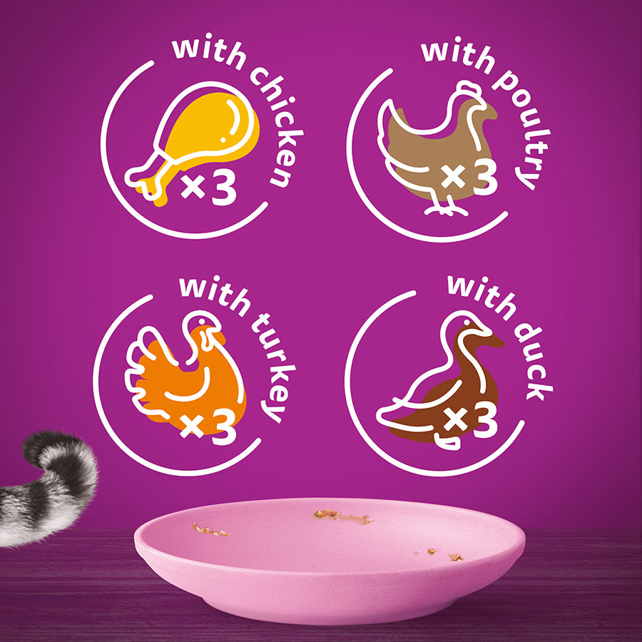 Whiskas Kitten Poultry Feasts Wet Cat Food Pouches in Jelly - (12 × 4 = 48 pack)