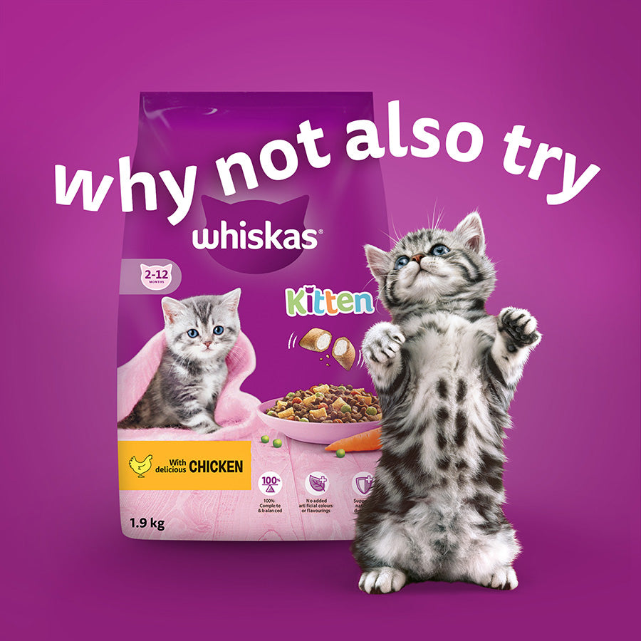Whiskas Kitten Poultry Feasts Wet Cat Food Pouches in Jelly - (12 × 4 = 48 pack)