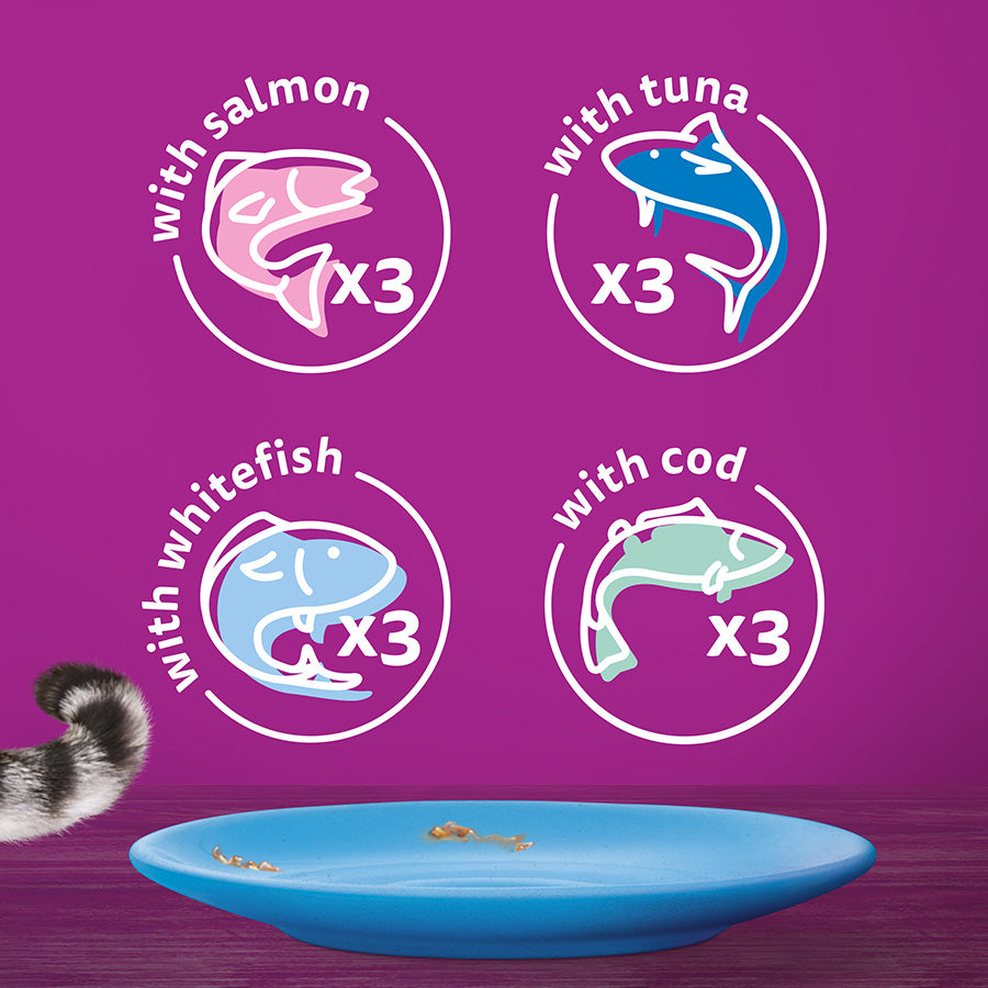 Whiskas 7+ Senior Wet Cat Food Fish Favourites in Jelly, (12 x 85g) x 4