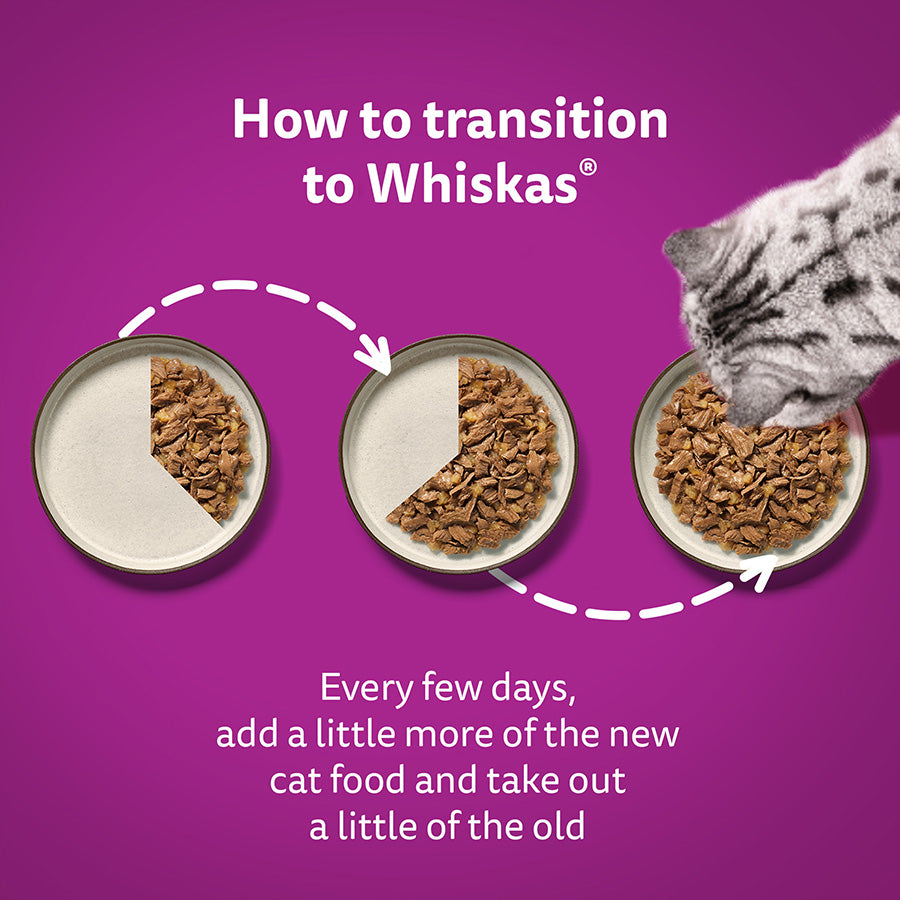 Whiskas 7+ Senior Wet Cat Food Fish Favourites in Jelly, (12 x 85g) x 4