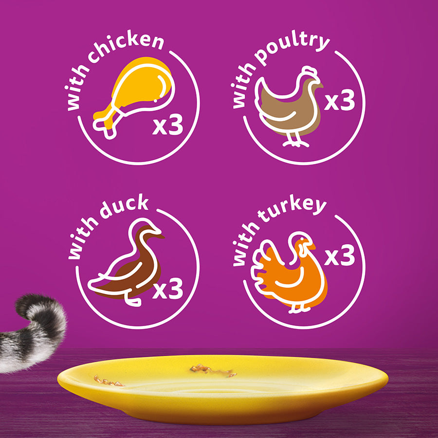 Whiskas 1+ Poultry Feasts Adult Wet Cat Food Pouches in Jelly – ( 12 x 85 ) x 4