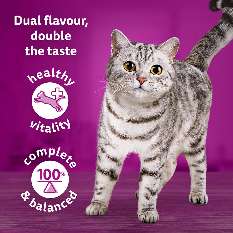 Whiskas 1+ Duo Meaty Combos Adult Wet Cat Food Pouches in Jelly ( 12 x 85g ) x 4