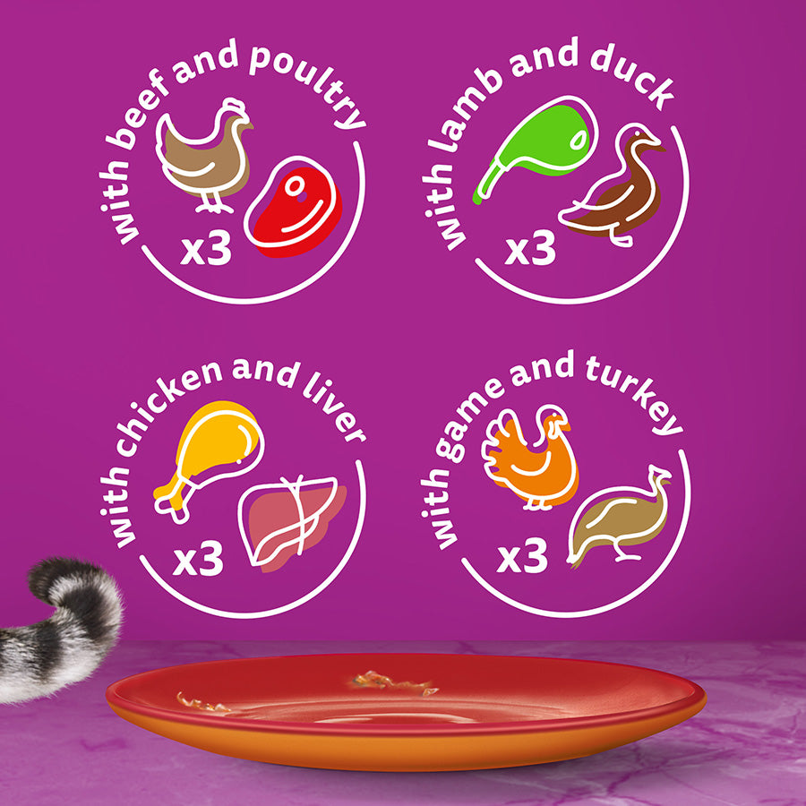 Whiskas 1+ Duo Meaty Combos Adult Wet Cat Food Pouches in Jelly ( 12 x 85g ) x 4