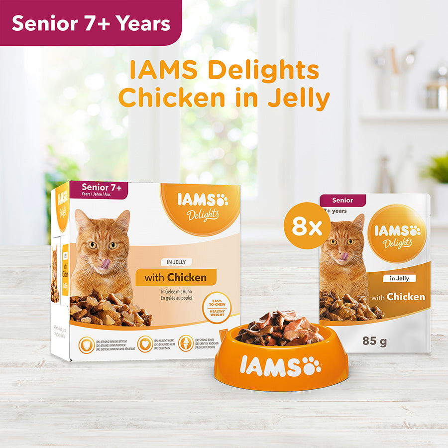 Iams Delights Senior 7+ Cat Chicken in Jelly 8pk - 85g