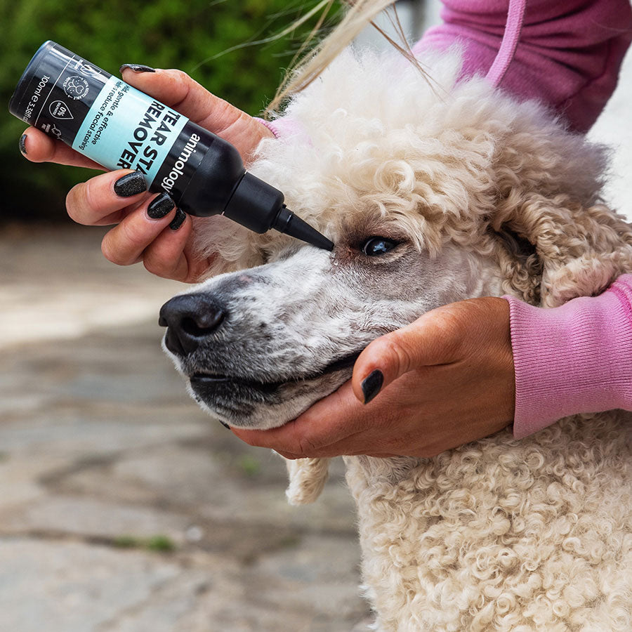 Animology Dog Tear Stain Remover - 100ml