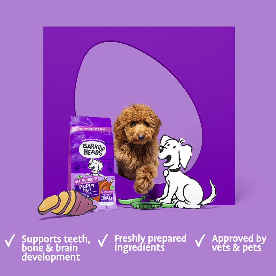 Barking Heads All Hounder Puppy Days Turkey - 2kg