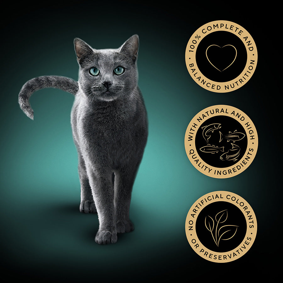 SHEBA Sauce Collection Adult Cat Food Fish Selection ( 12 x 85g ) x 4 Packs