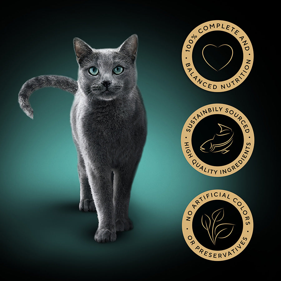 SHEBA Classics Adult Cat Food with Salmon in Terrine ( 8 x 85g ) x 4 Pck