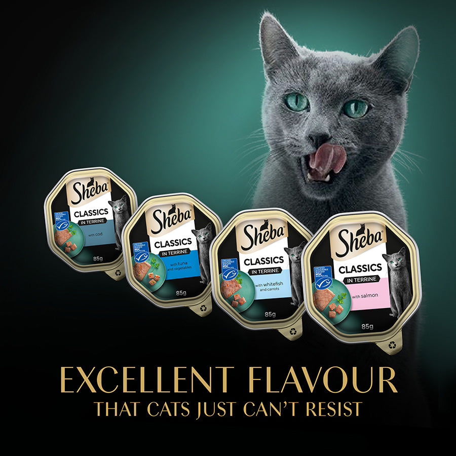 SHEBA Classics Adult Cat Food with Salmon in Terrine ( 8 x 85g ) x 4 Pck