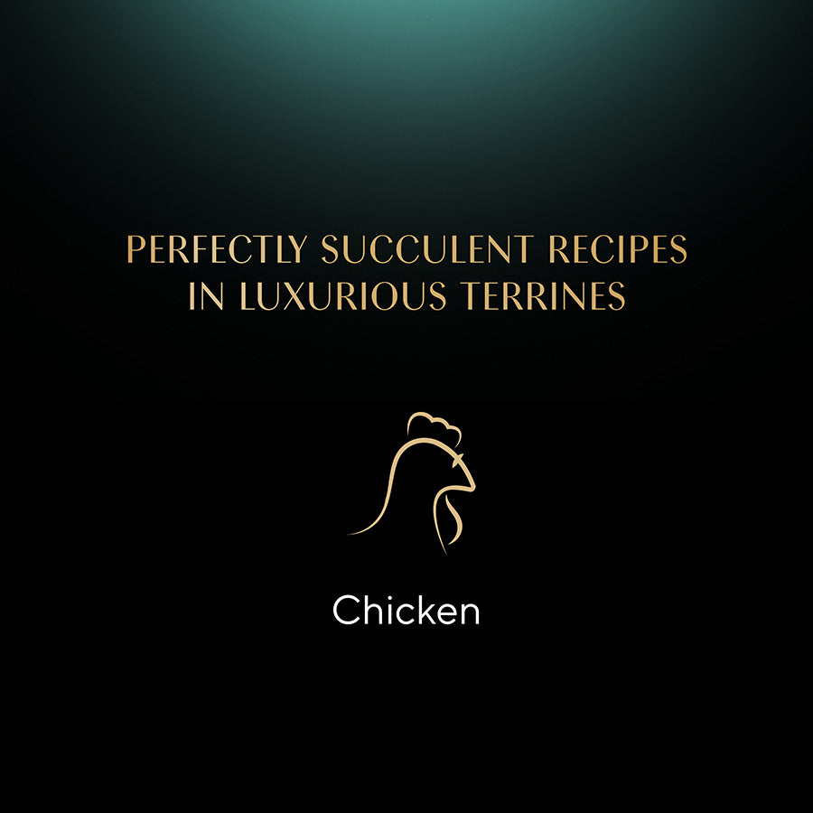 SHEBA Classics Adult Cat Food with Chicken in Terrine Tray ( 85g x 22 )