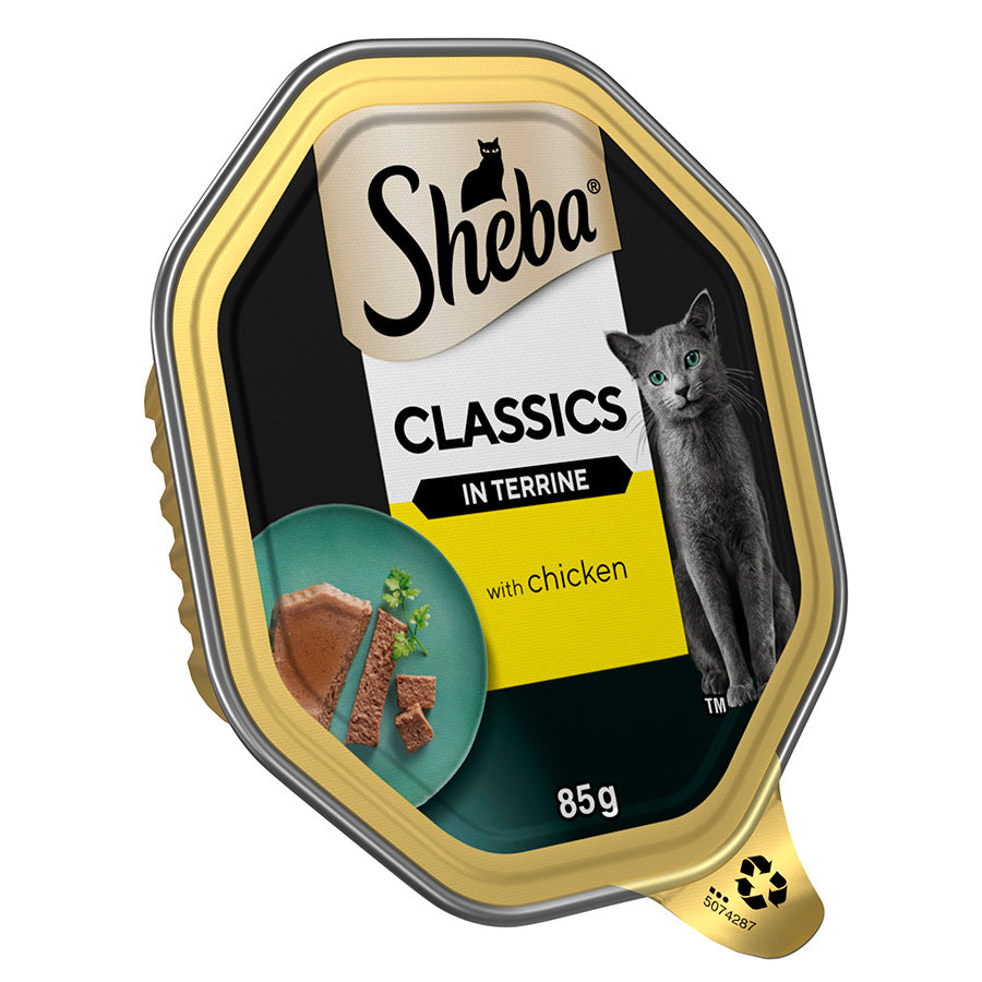 SHEBA Classics Adult Cat Food with Chicken in Terrine Tray ( 85g x 22 )