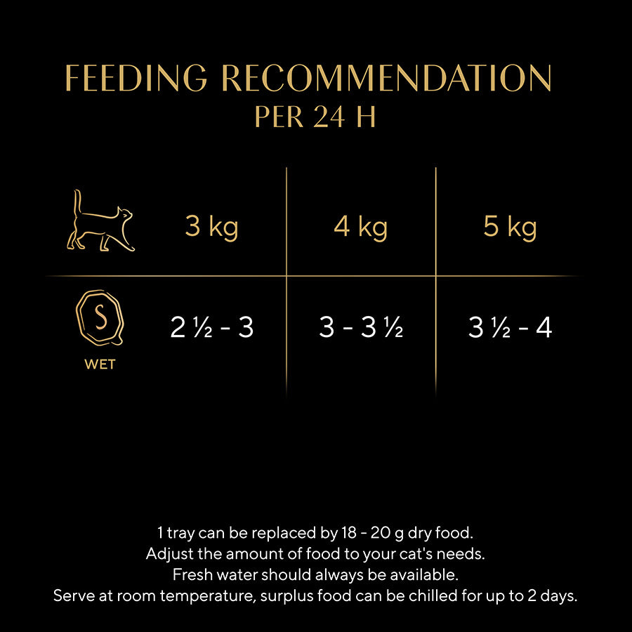 Sheba Classics Wet Cat Food Tray Salmon in Terrine ( 85g x 22 )