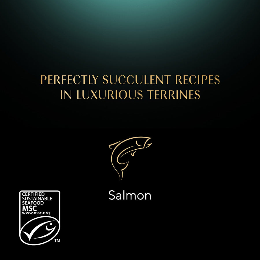 Sheba Classics Wet Cat Food Tray Salmon in Terrine ( 85g x 22 )