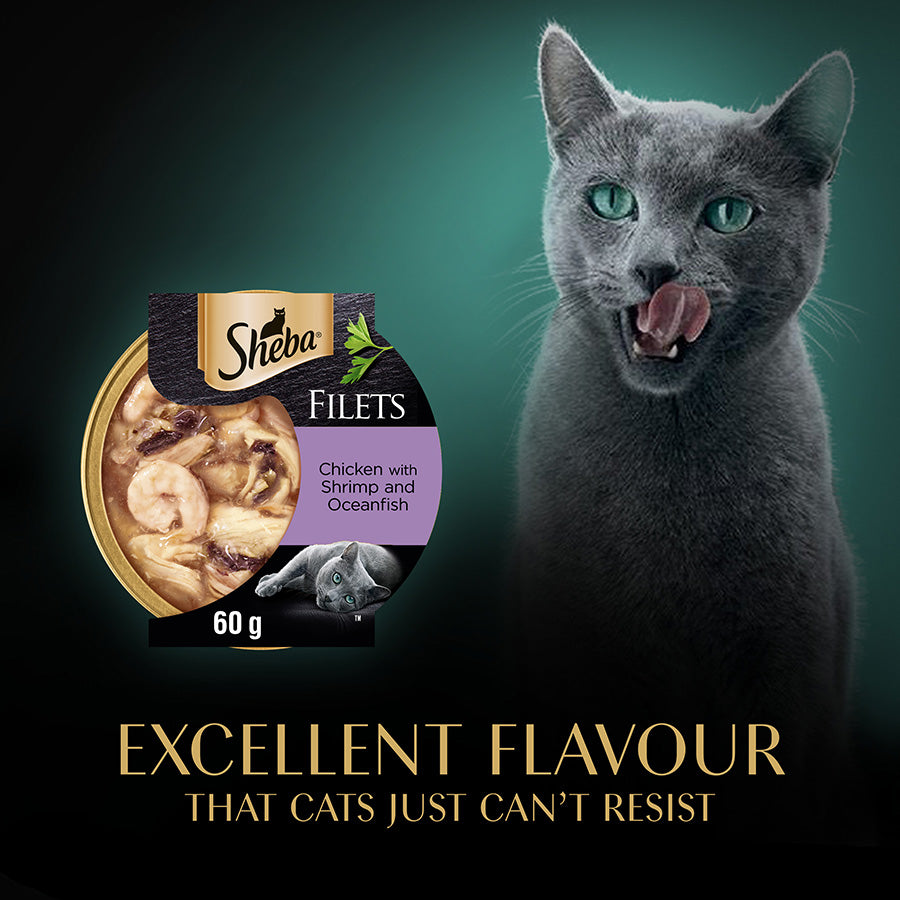 SHEBA Fillets with Chicken shrimp & Oceanfish in Gravy ( 60g x 32 )
