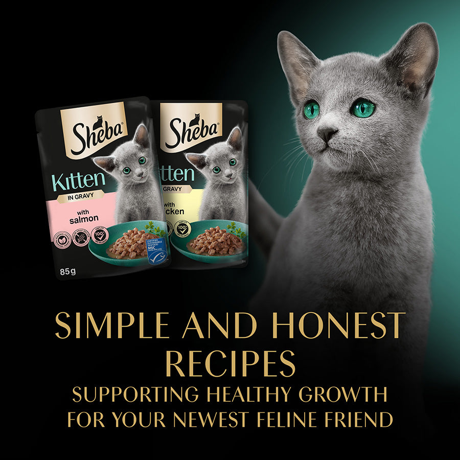 SHEBA Mixed Selection Kitten Wet Cat Food in Gravy ( 12 x 85g ) x 4 Packs