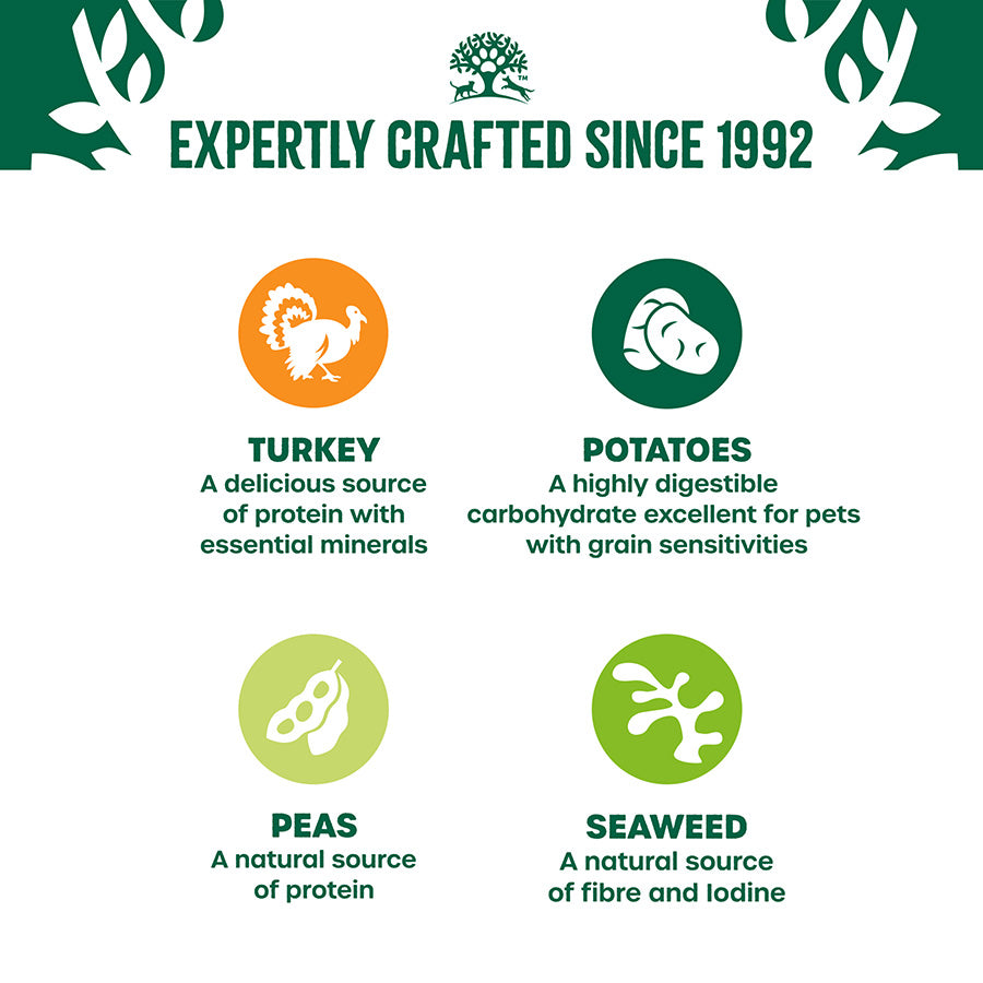 James Wellbeloved Grain Free Adult Wet Dog Food Turkey Gravy Pouch (12 x 90g)