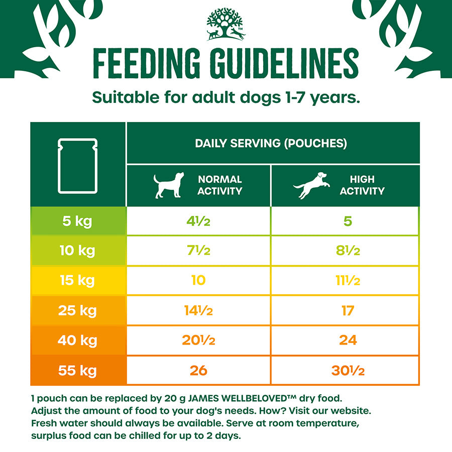 James Wellbeloved Grain Free Adult Wet Dog Food Turkey Gravy Pouch (12 x 90g)