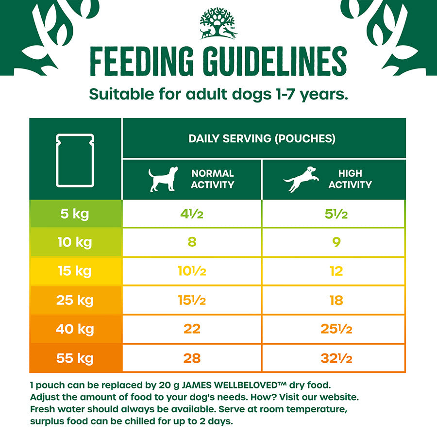 James Wellbeloved Superfoods Adult Wet Dog Food Turkey Gravy Pouch (12 x 90g)
