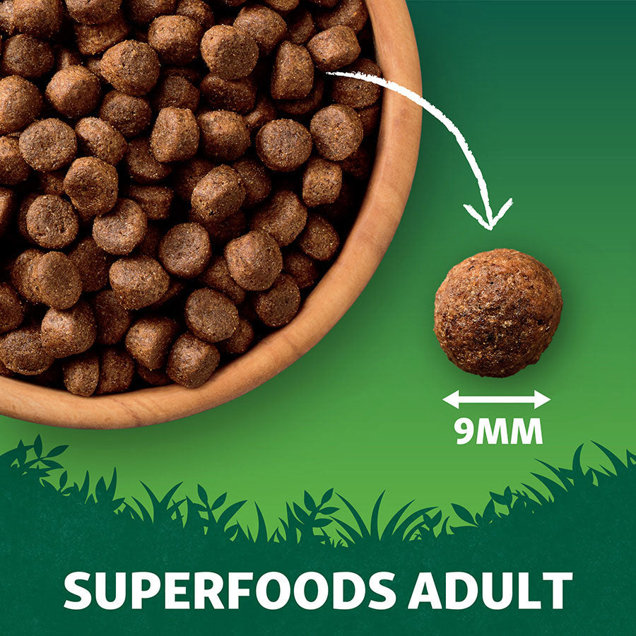 Harringtons Adult Dog Grain Free Superfoods Salmon with Vegetables - 1.7kg