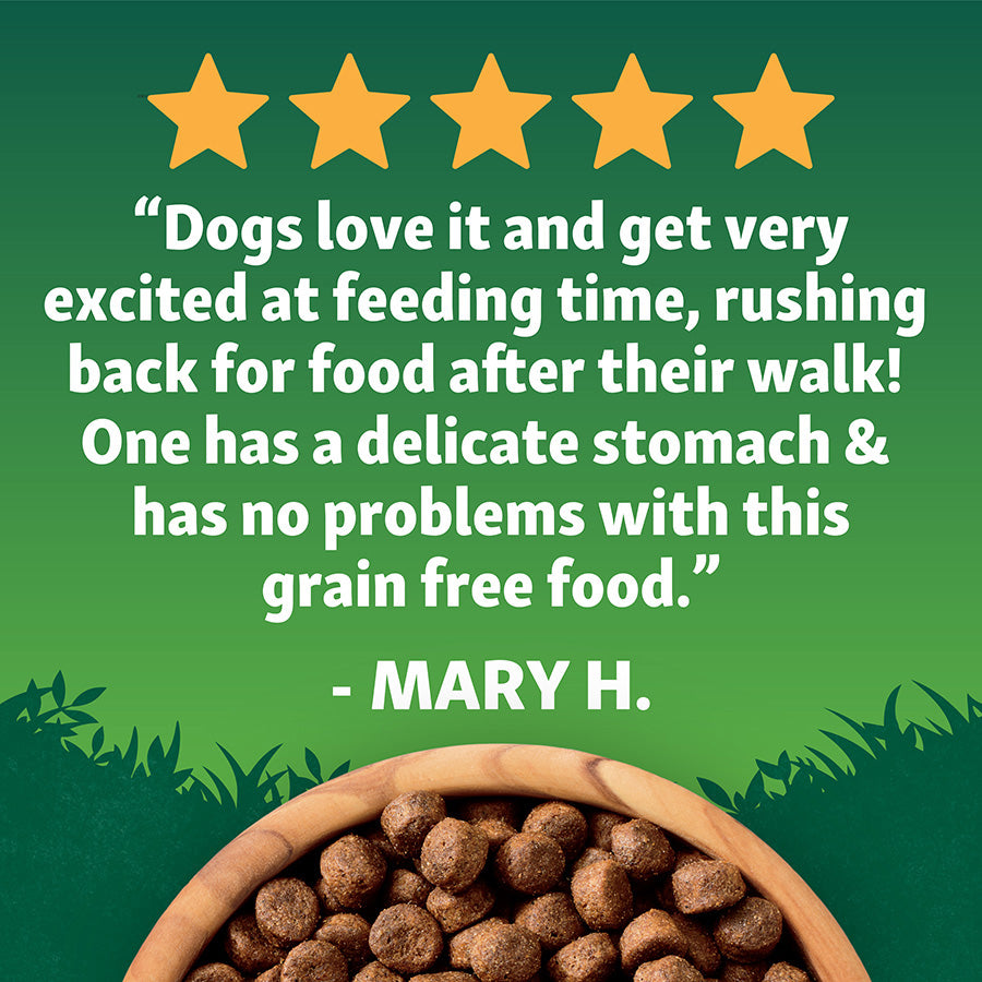Harringtons Adult Dog Grain Free Superfoods Salmon with Vegetables - 1.7kg