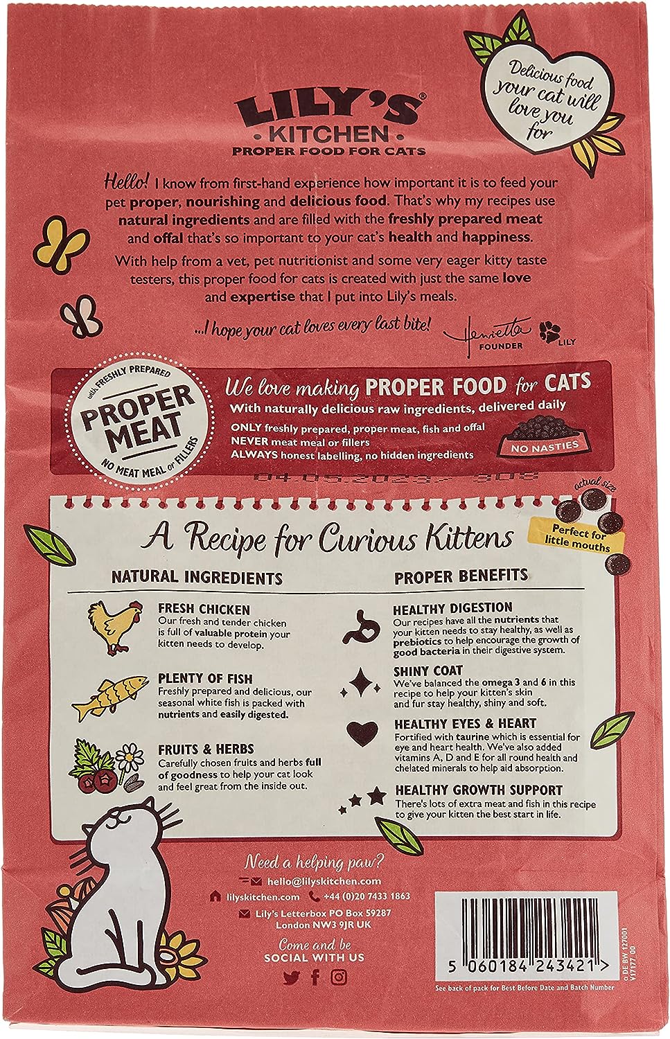 Elevate Your Kitten's Culinary Experience with Wholesome Chicken Delight