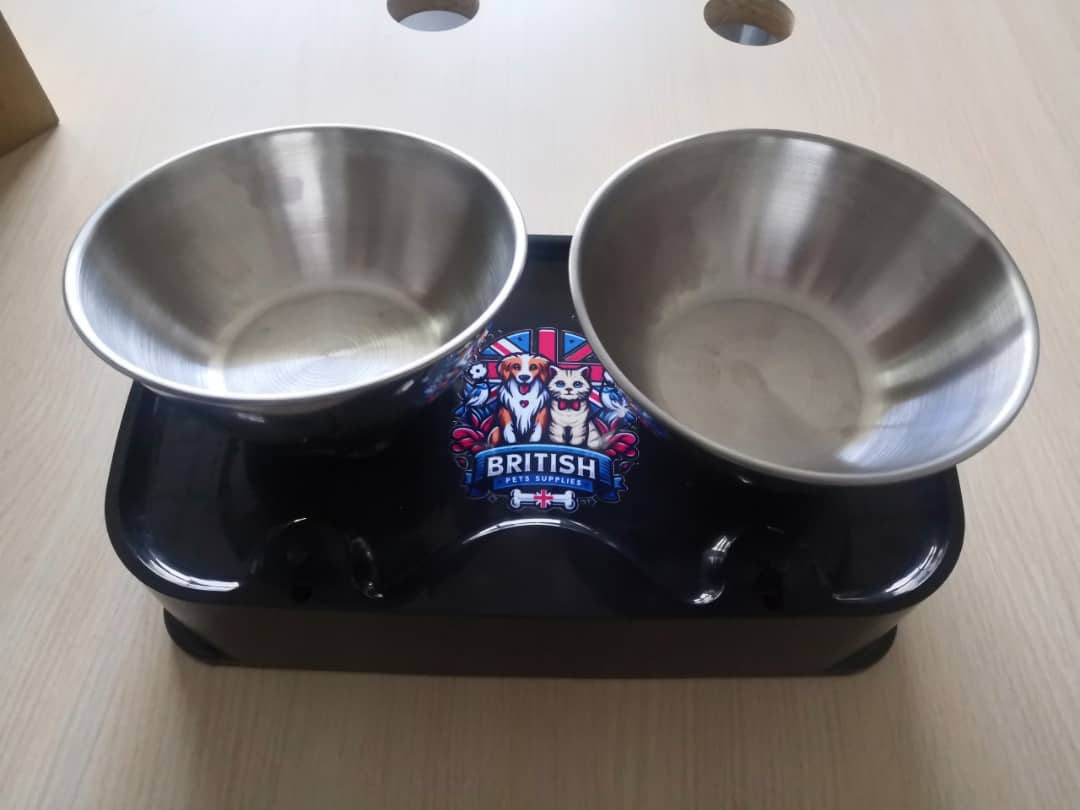 Cat Bowls with Stand Tilted, 0 &15° Stainless Steel Elevated Cat Feeding Bowls
