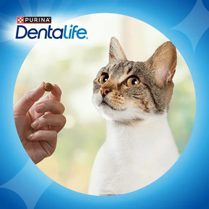 DENTALIFE Chicken Dental Cat Treats ( 140 x 5 )