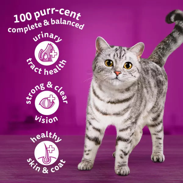 Whiskas 1+ Chicken Adult Dry Cat Food (300g × 6)
