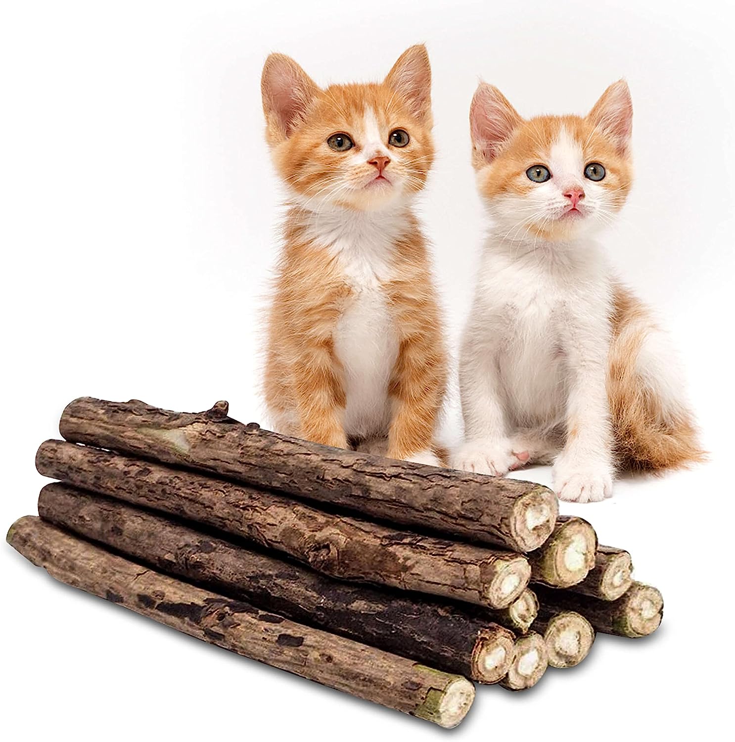 Cats Treats [ tasty treats for cats ]