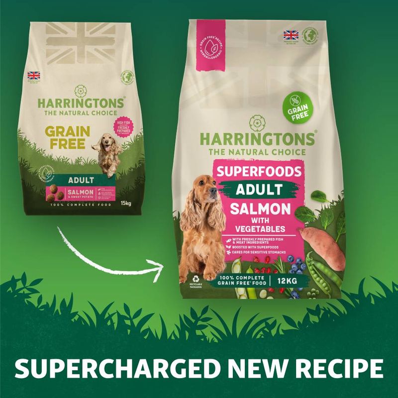 Harringtons Adult Dog Grain Free Superfoods Salmon with Vegetables - 12kg