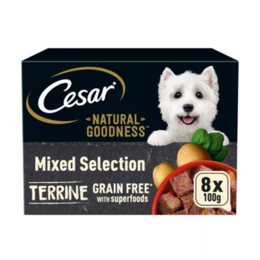 CESAR NATURAL GOODNESS Grain Free Adult Dog Food Mix Terrine (8x100g Tray) x 3