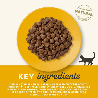 Applaws Grain Free Dry Adult Cat Food Chicken - 400g
