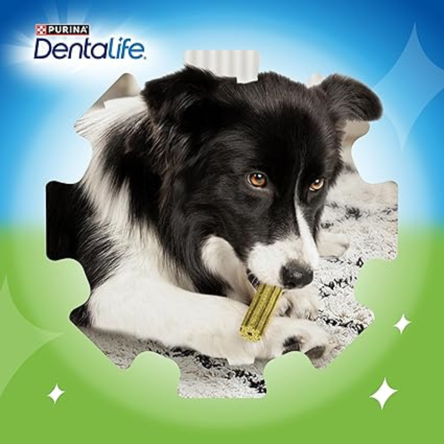 DENTALIFE ActivFresh Oral Care Small Dog Dental Chicken ( 30 stick x 2 )
