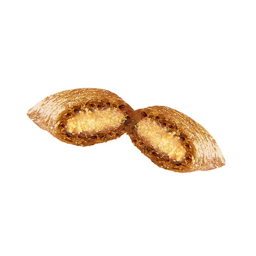 Dreamies Cat Treats with Salmon (60g x 8)