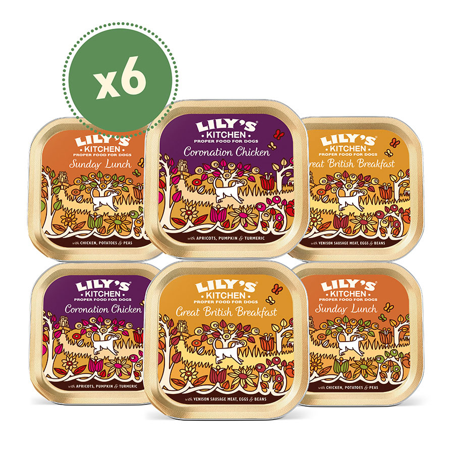 Lily's Kitchen Weekend Favourite 6pack , 150g