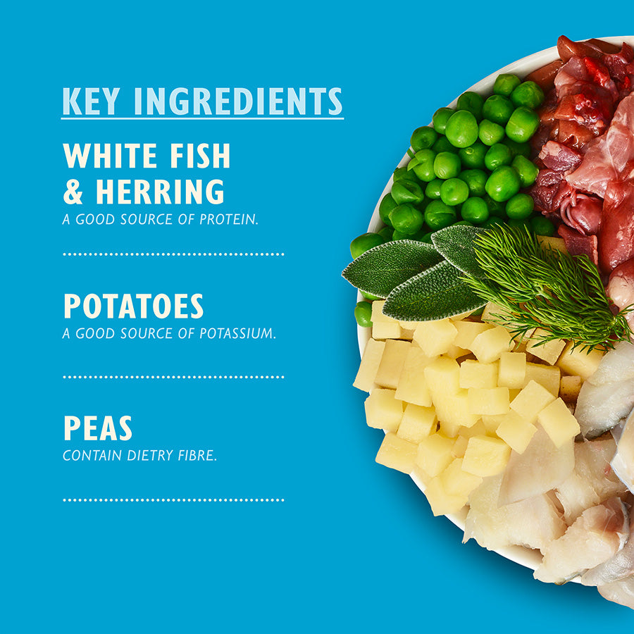 Lily's Kitchen Fish & Chips ( 400g x 6 )