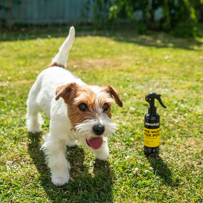Animology Fox Poo Pre Wash  Spray- 250ml