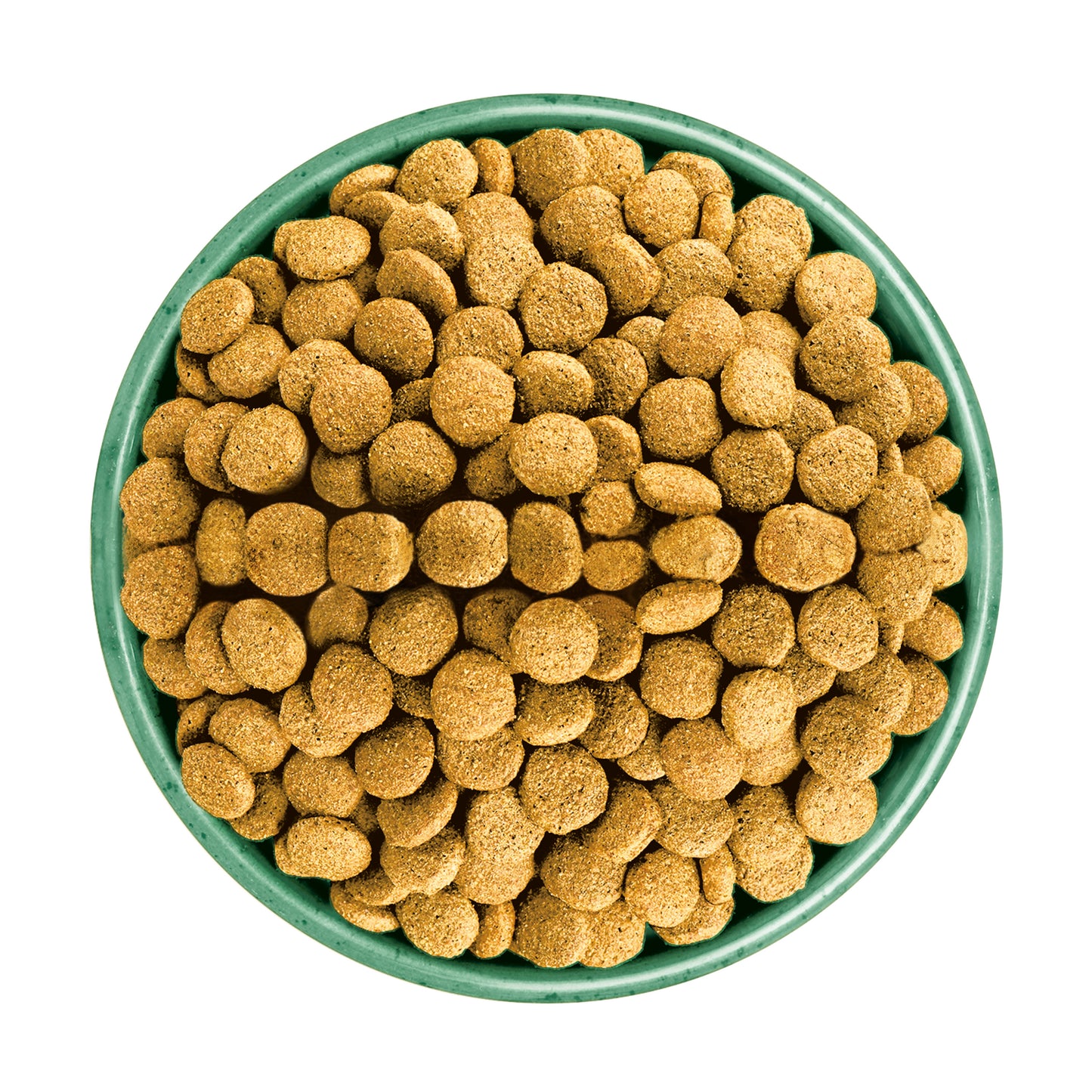 James Wellbeloved Adult Dog Light Turkey & Rice - 1.5kg
