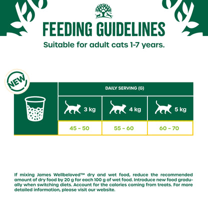 James Wellbeloved Adult Dry Cat Food Fish - 10kg