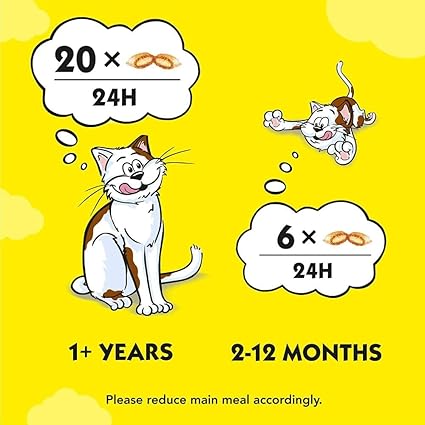 Dreamies Mega Tub Adult 1+ Cat Treats with Tuna Tub (350g x 2)